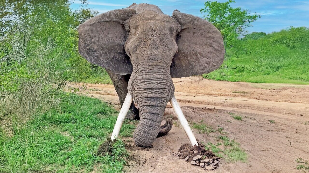 Maputo National Park