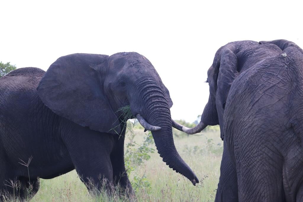 Maputo National Park Tour