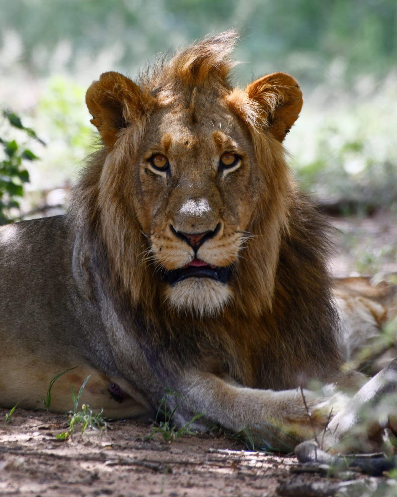 Kruger National Park